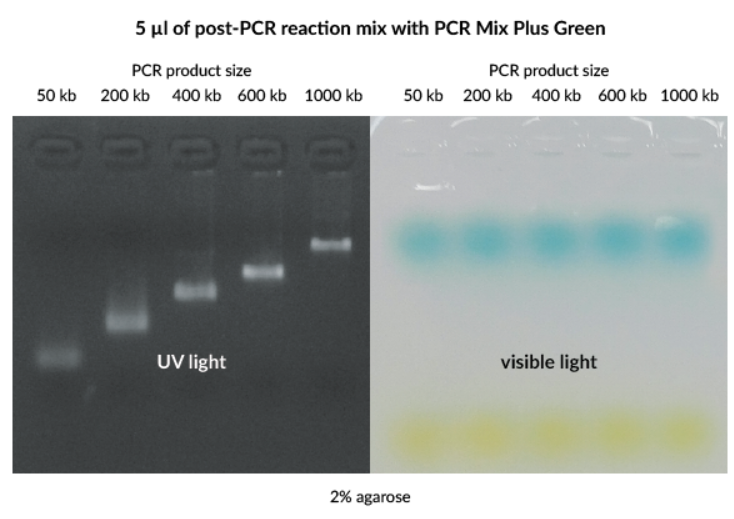 PCR Mix Plus Green_소개.PNG