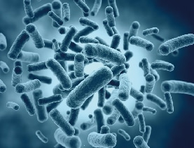 Bacterial-Antigen.jpg
